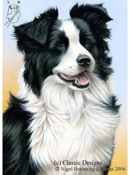 Just Dogs - Border Collie - Dark Wood Framed