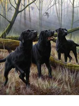 Tree Fellas & Remarque Of Your Dog - Mounted
