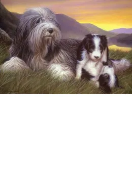 Shepherds Delight NHE - Print