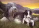 Shepherds Delight NHE - Print