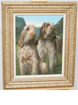 Latin Spirit - Spinone - Original - Framed