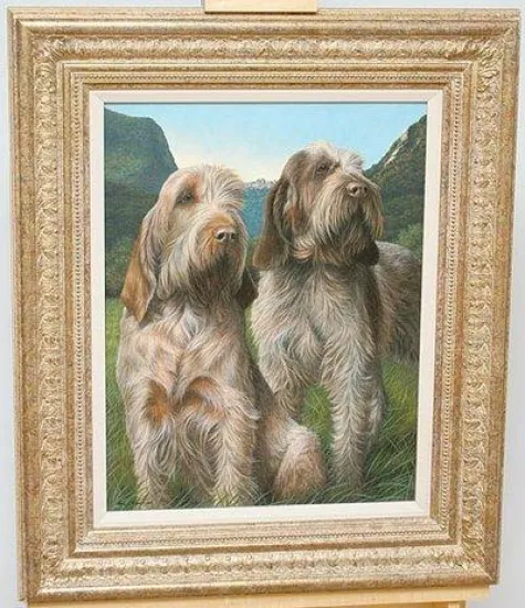 Latin Spirit - Spinone