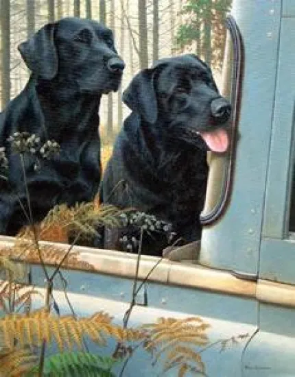 Pick Up Partners