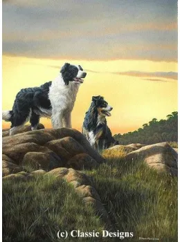 Border Lands - Border Collies - Print