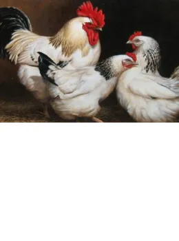 Chickens - Original - Dark Wood Framed