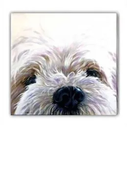 Westie (Canvas) - West Highland Terrier - Box Canvas