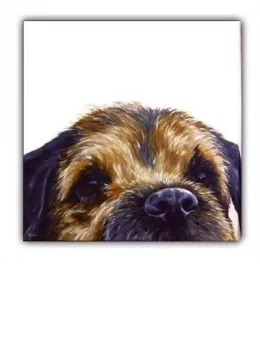 Border (Canvas) - Border Terrier - Box Canvas