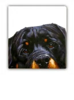 Rottie (Canvas) - Rottweiler - Box Canvas