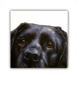 Lab (Canvas) - Black Labrador - Box Canvas