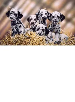 Spot The Difference - Print