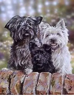Neighbourhood Watch - Print