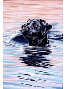 Early Evening Dip - Print