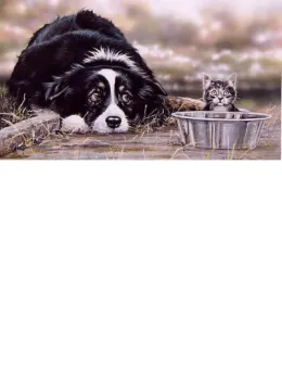 Collie Troubles - Print