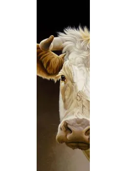 Goldie - A Glance - Mounted