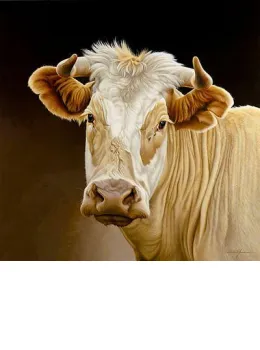 Goldie - Mounted