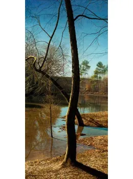 Shallows And Shadows - Canvas - Box Canvas