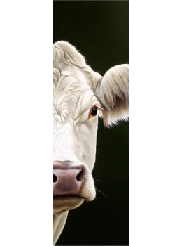 Gwyneth - A Glimpse - Box Canvas