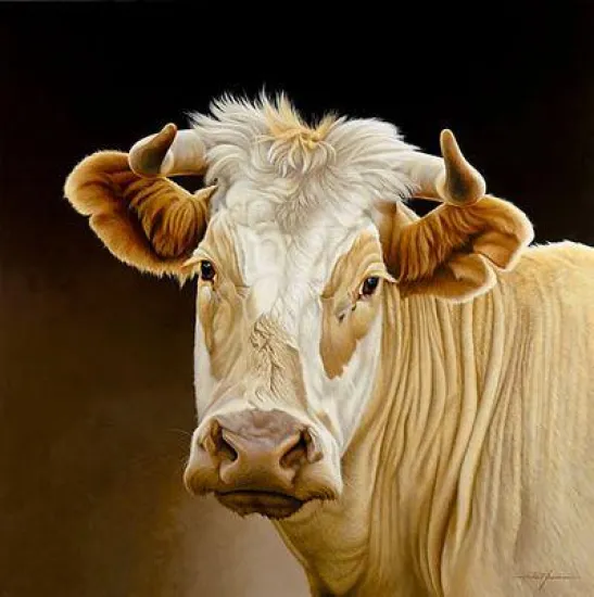 Goldie - Box Canvas Goldie - Box Canvas