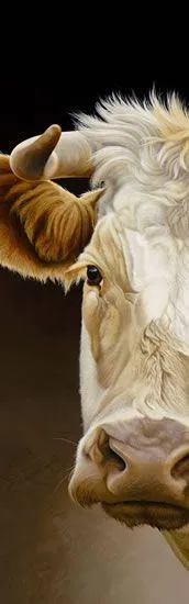 Goldie - A Glance - Box Canvas