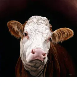 Madge - Pedigree Simmental Cow - Mounted