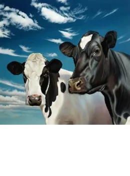 Trinny And Suzannah - Cows - Mounted