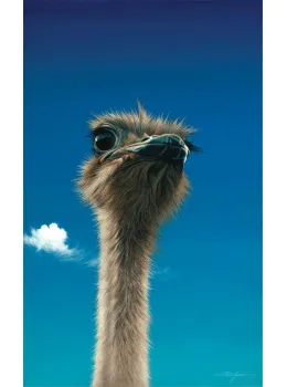 Germaine - Ostrich - Mounted