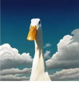Bill - Duck - Mounted