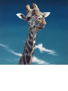 Jarvis - Giraffe - Mounted