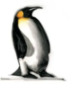 The Emperor - Penguins - Mounted