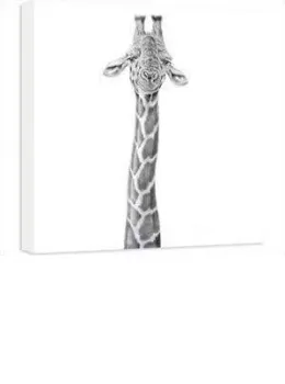 Dizzy Heights - Giraffe - Box Canvas