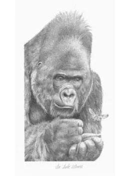 In Safe Hands - Gorilla - Mounted