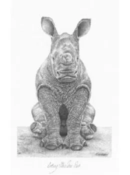 Sitting This One Out - Rhino - Mounted