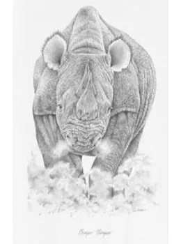 Temper Temper - Rhino - Mounted