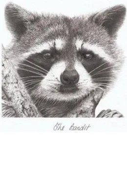 The Bandit - Mounted