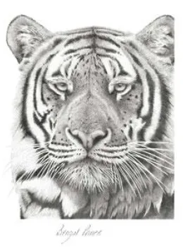 Bengal Prince - Mounted