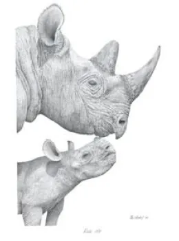 Kiss Me - Rhinos - Mounted