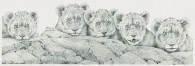 The Young Ones