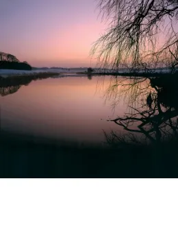 Lilac Dusk - Mounted