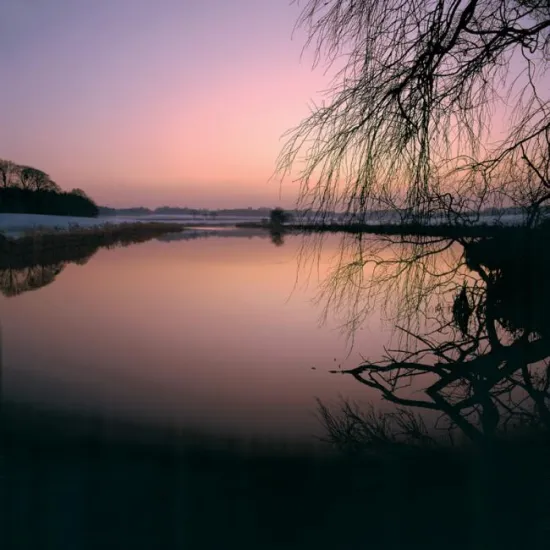 Lilac Dusk - Mounted