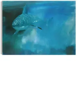 Cool Blue - Box Canvas