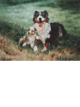 Austrailian Sheepdog - Print only
