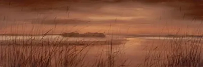 Winter Skies - Mounted