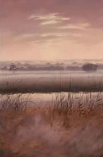 View From The River