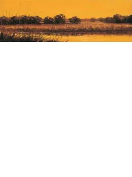 Golden Skies I - Mounted