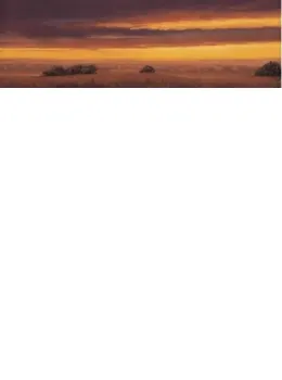Golden Skies II - Mounted