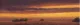 Golden Skies II - Mounted