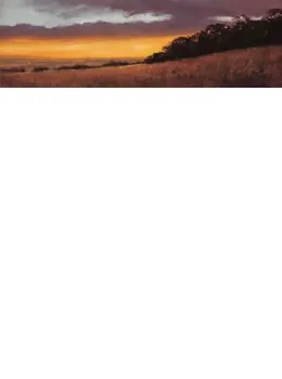 Golden Skies IV - Mounted