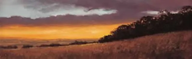 Golden Skies