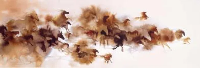 Wild Horses - Mounted Wild Horses - Mounted