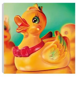 Dolly Duck - Box Canvas